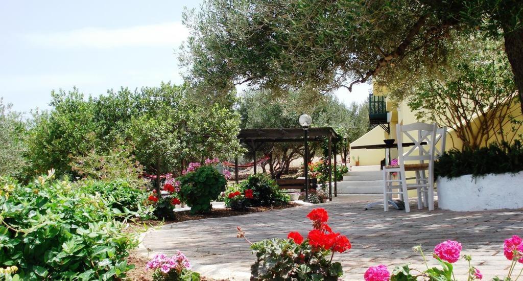 Katerina Charming Place Amoudara  Екстер'єр фото