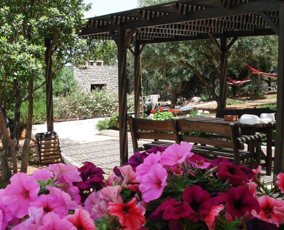Katerina Charming Place Amoudara  Екстер'єр фото